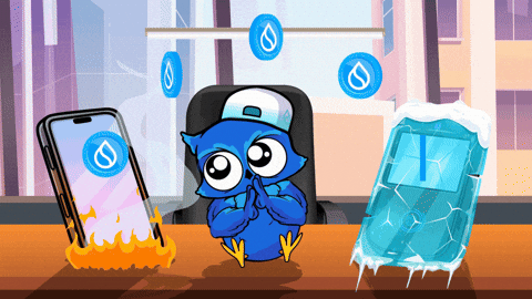 Hot wallet ou cold wallet ?