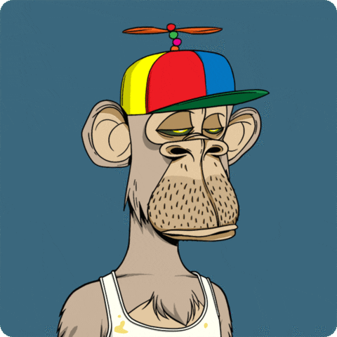singes blasés prix ?